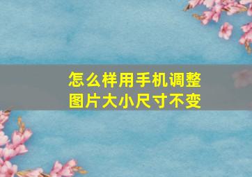 怎么样用手机调整图片大小尺寸不变