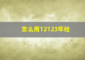 怎么用12123年检