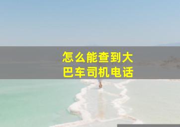 怎么能查到大巴车司机电话