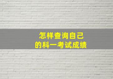 怎样查询自己的科一考试成绩