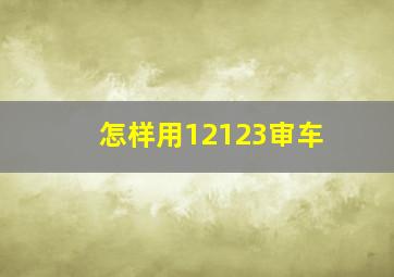 怎样用12123审车