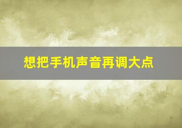 想把手机声音再调大点