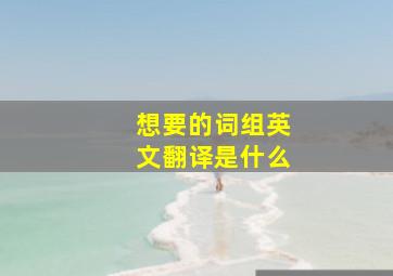 想要的词组英文翻译是什么