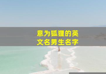 意为狐狸的英文名男生名字