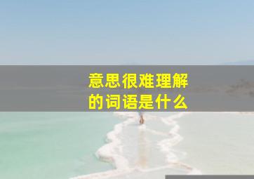 意思很难理解的词语是什么