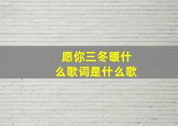 愿你三冬暖什么歌词是什么歌