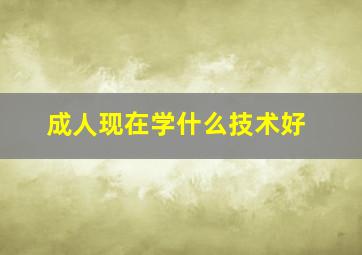 成人现在学什么技术好