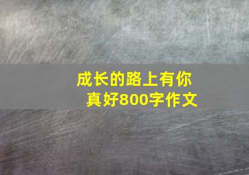 成长的路上有你真好800字作文