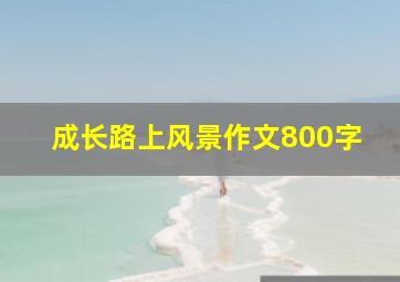 成长路上风景作文800字