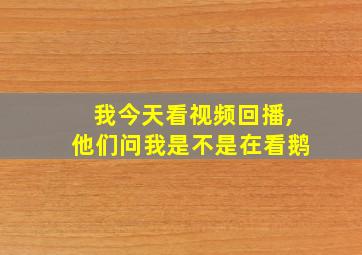 我今天看视频回播,他们问我是不是在看鹅