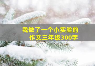 我做了一个小实验的作文三年级300字