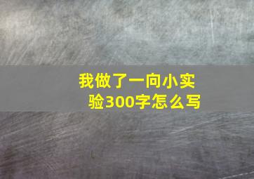 我做了一向小实验300字怎么写