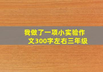 我做了一项小实验作文300字左右三年级