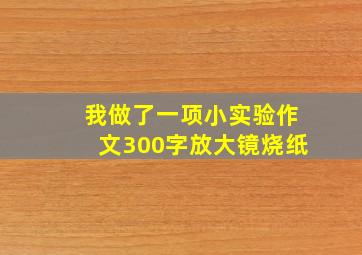 我做了一项小实验作文300字放大镜烧纸