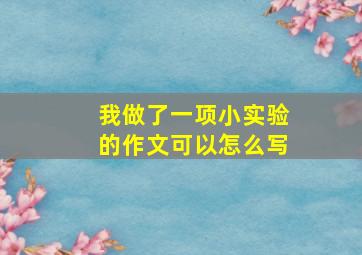 我做了一项小实验的作文可以怎么写