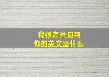 我很高兴见到你的英文是什么