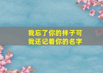 我忘了你的样子可我还记着你的名字