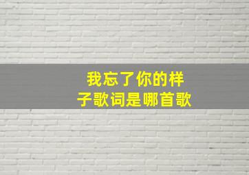 我忘了你的样子歌词是哪首歌