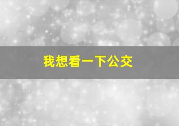 我想看一下公交