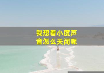 我想看小度声音怎么关闭呢