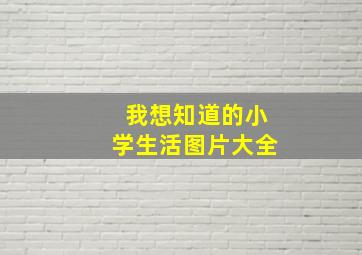 我想知道的小学生活图片大全