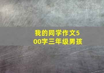 我的同学作文500字三年级男孩