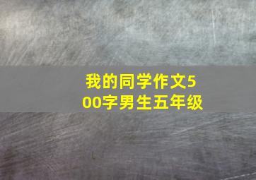 我的同学作文500字男生五年级