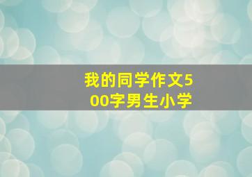 我的同学作文500字男生小学