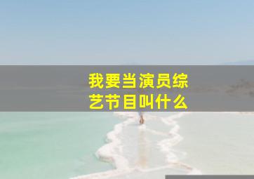 我要当演员综艺节目叫什么