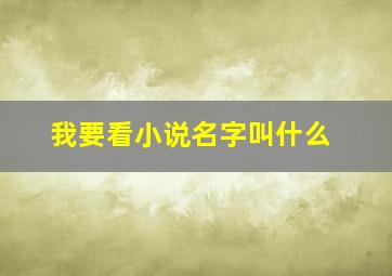 我要看小说名字叫什么