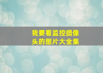 我要看监控摄像头的图片大全集