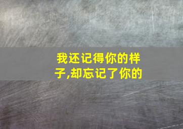 我还记得你的样子,却忘记了你的