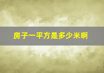 房子一平方是多少米啊