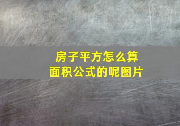 房子平方怎么算面积公式的呢图片