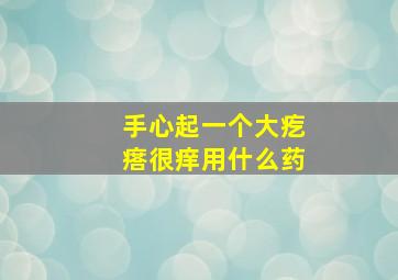 手心起一个大疙瘩很痒用什么药