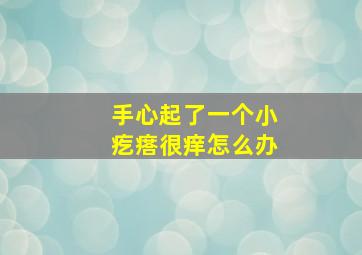 手心起了一个小疙瘩很痒怎么办