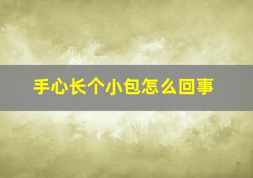 手心长个小包怎么回事