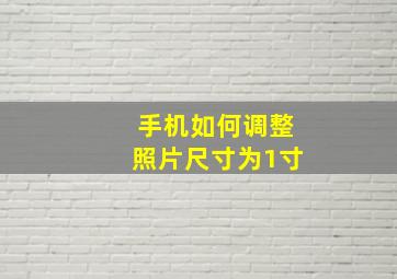 手机如何调整照片尺寸为1寸