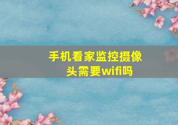 手机看家监控摄像头需要wifi吗