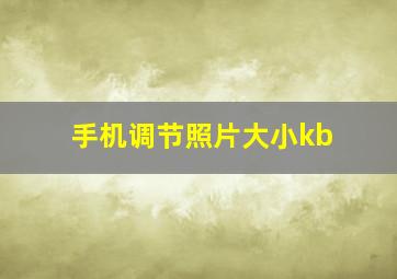 手机调节照片大小kb