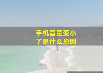 手机音量变小了是什么原因