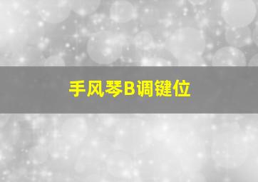 手风琴B调键位