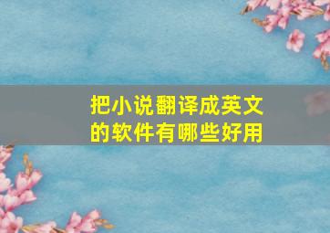 把小说翻译成英文的软件有哪些好用