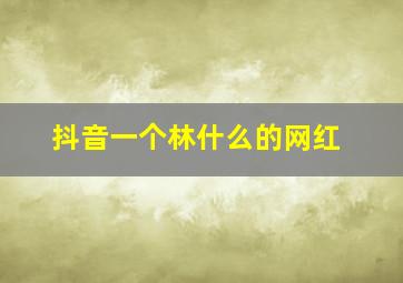 抖音一个林什么的网红