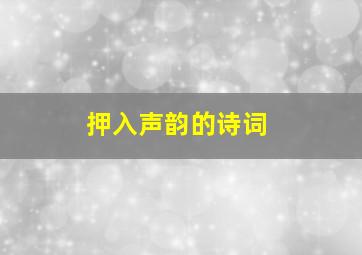 押入声韵的诗词