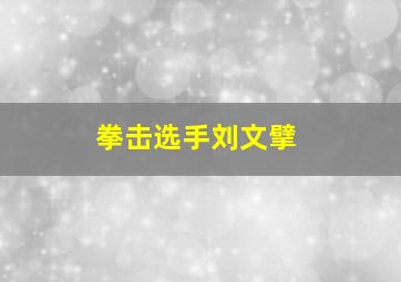 拳击选手刘文擘