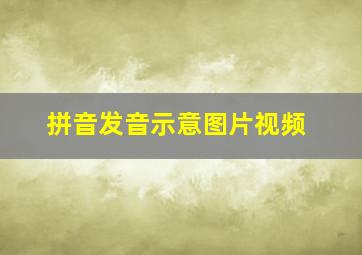 拼音发音示意图片视频