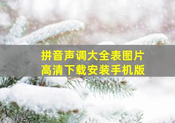 拼音声调大全表图片高清下载安装手机版