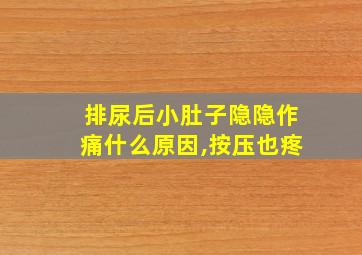 排尿后小肚子隐隐作痛什么原因,按压也疼