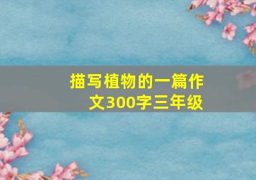 描写植物的一篇作文300字三年级